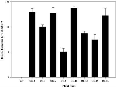 Over-Expression of Arabidopsis EDT1 Gene Confers Drought Tolerance in Alfalfa (Medicago sativa L.)